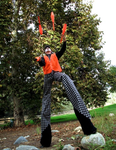 Critical Sprout Stilt Juggle